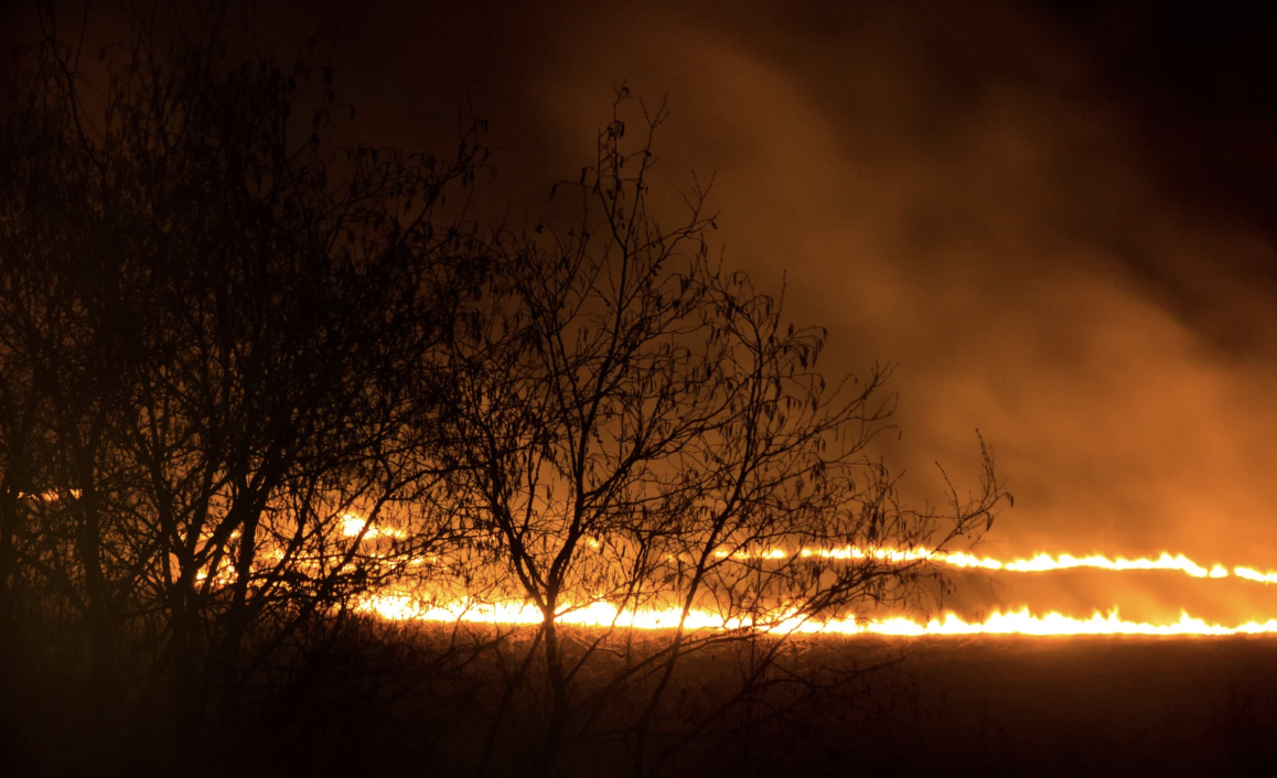a fire in a field that was created by an arsonist