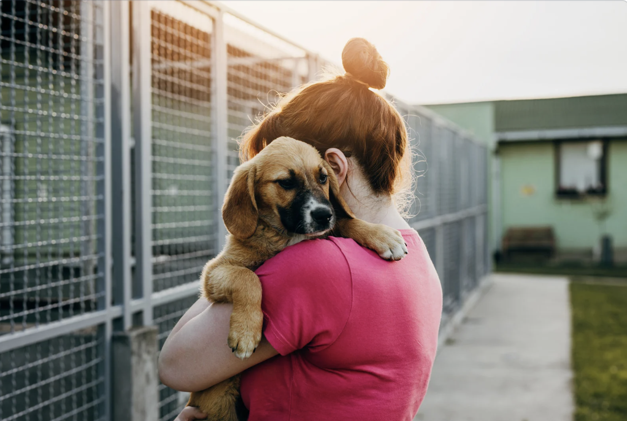 a woman holding a puppy over her shoulder