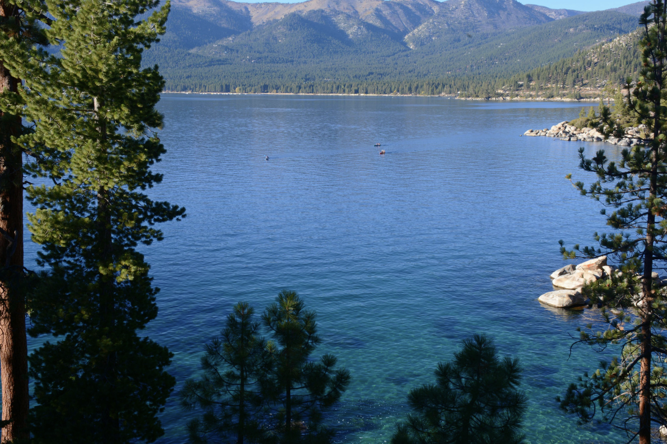 a view of Lake Tahoe from the perspective of a grouping of trees 