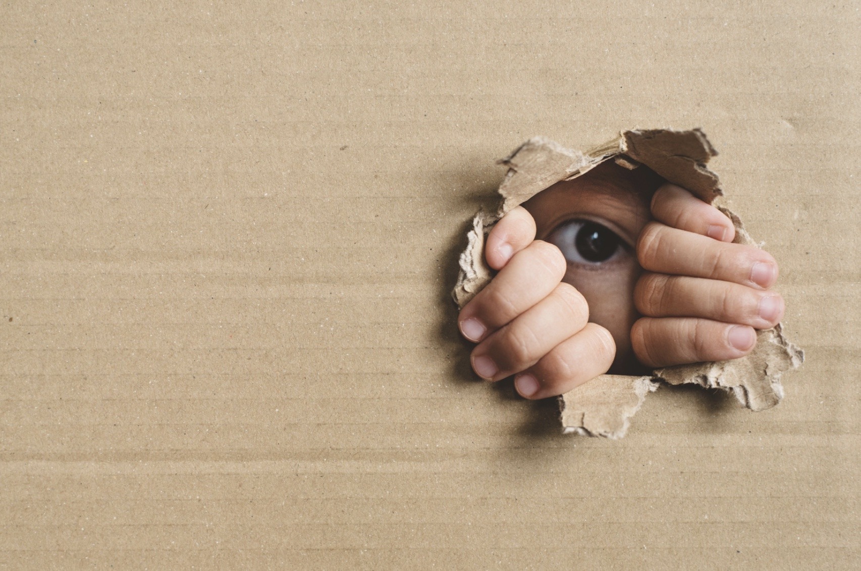 Child Endangerment In Auburn And Its Repercussions