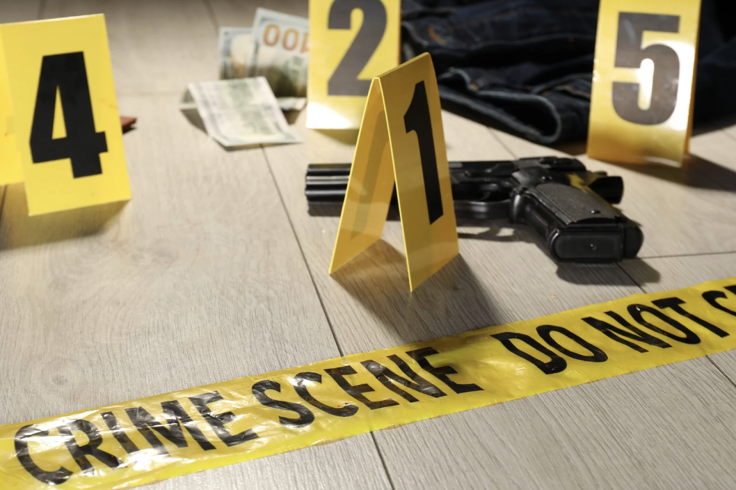 California Penal Code 192(a): Voluntary Manslaughter & Homicide