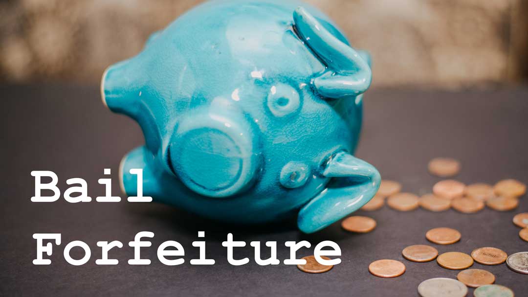 bail forfeiture depiction piggy bank laying on side with coins
